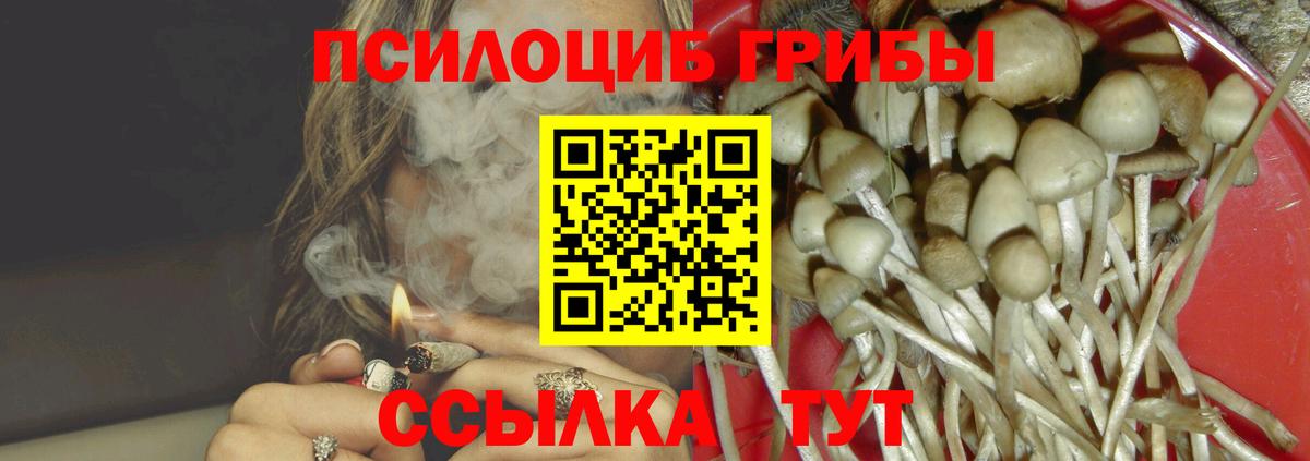Моздок  Псилоцибиновые грибы прущие грибы  Вход с VPN 